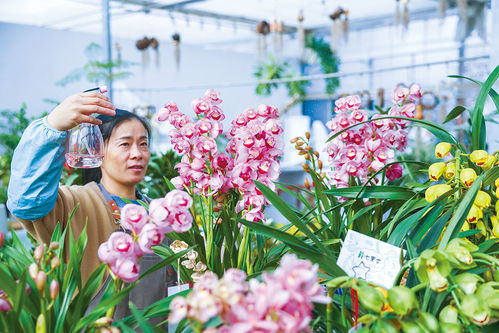 深圳市永興實業銷售無廠名廠址及執行標準號產品案