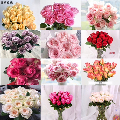 花卉銷售_網(wǎng)絡(luò)科技_苗木種植_農(nóng)副產(chǎn)品